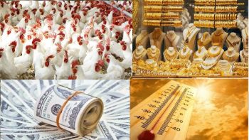 أخبار التوك شو| الدواجن آمنة ونظام الطيبات ضار.. مفاجأة بشأن أسعار الذهب والدولار والطقس