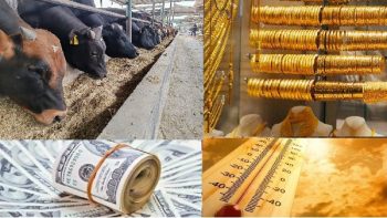 أخبار التوك شو| أسعار اللحوم في الأسواق اليوم وأفضل طريقة للتسوية.. ومفاجأة بشأن الذهب والدولار والطقس