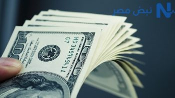 استقرار سعر الدولار اليوم في مصر الأحد 31 مايو 2026.. تفاوت بين البنوك وتحركات محدودة بالسوق