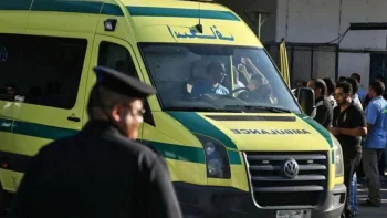 ادعت أن ثعباناً لدغهما.. مصرية تقتل حفيديها بحقنة كلور