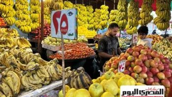 أسعار الفواكه والخضراوات في الفيوم اليوم السبت – مقالات نيوز