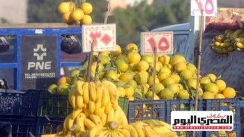 الموز بــ30 والكنتالوب بـ20 بأسواق سوهاج اليوم – مقالات نيوز