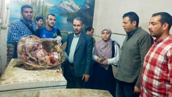 محافظ أسيوط: ضبط 3 أطنان لحوم ودواجن وأسماك غير صالحة بمركز منفلوط – نمبر١ نيوز