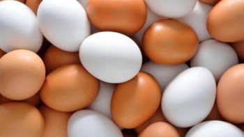 انخفاض أسعار البيض اليوم الإثنين 4 مايو 2026.. الكرتونة بكام في الأسواق؟ – الأسبوع