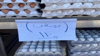 أسعار الألبان والبيض فى أسواق سوهاج اليوم.. كرتونة بيض بـ 110 جنيهات