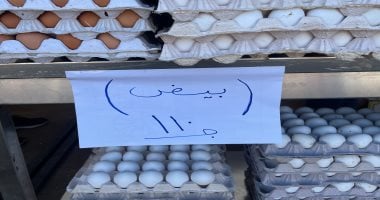 أسعار الألبان والبيض فى أسواق سوهاج اليوم.. كرتونة بيض بـ 110 جنيهات