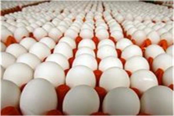 أسعار البيض اليوم الأربعاء 20 مايو 2026