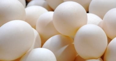 أسعار البيض فى سوهاج اليوم.. الأبيض والأحمر بــ 110 جنيهات
