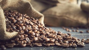 أسعار الحبوب عالمياً اليوم الإثنين 18-5-2026