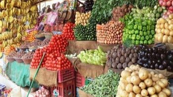 أسعار الخضراوات والفاكهة بأسواق كفرالشيخ اليوم الخميس