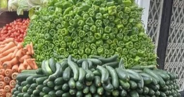 أسعار الخضراوات والفاكهة بالفيوم اليوم الثلاثاء