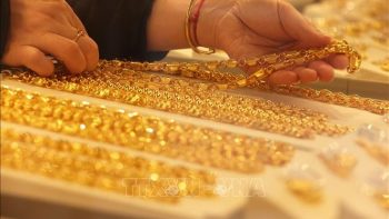 أسعار الذهب من 18 إلى 24 مايو: انخفض سعر الذهب في بورصة سان خوسيه إلى أقل من 162 مليون دونغ فيتنامي، وسارع الناس إلى إيداع مدخراتهم.