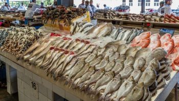 أسعار السمك والمأكولات البحرية بالأسواق اليوم الجمعة 8 مايو 2026