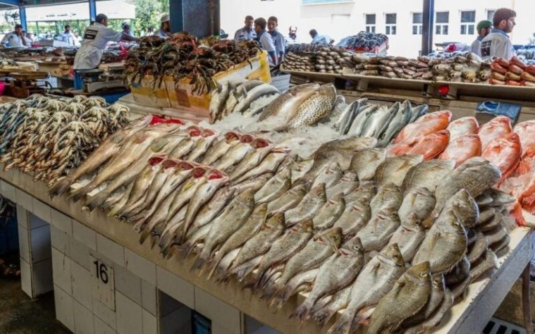 أسعار السمك والمأكولات البحرية بالأسواق اليوم الجمعة 8 مايو 2026