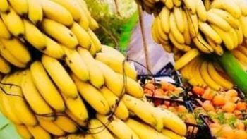 أسعار الفاكهة بالأسواق والمحلات بالأقصر اليوم الأحد.. الموز بلدى بـ 35 جنيها