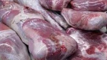 أسعار اللحوم الحية والكبدة الجملي والضاني اليوم الثلاثاء 19-5-2026 -جريدة المال