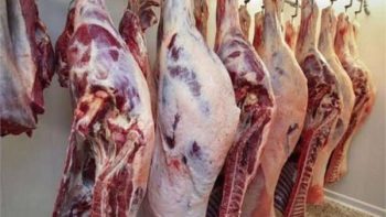 أسعار اللحوم اليوم الجمعة 15 مايو في الأسواق