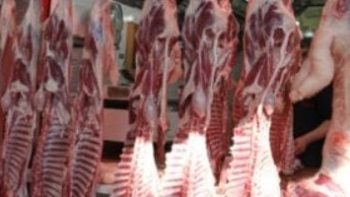 أسعار اللحوم بكفر الشيخ اليوم الأحد 3 مايو 2026.. تبدأ من 260 جنيها