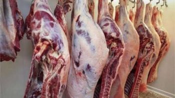 أسعار اللحوم في الأسواق في أول أيام عيد الأضحي المبارك