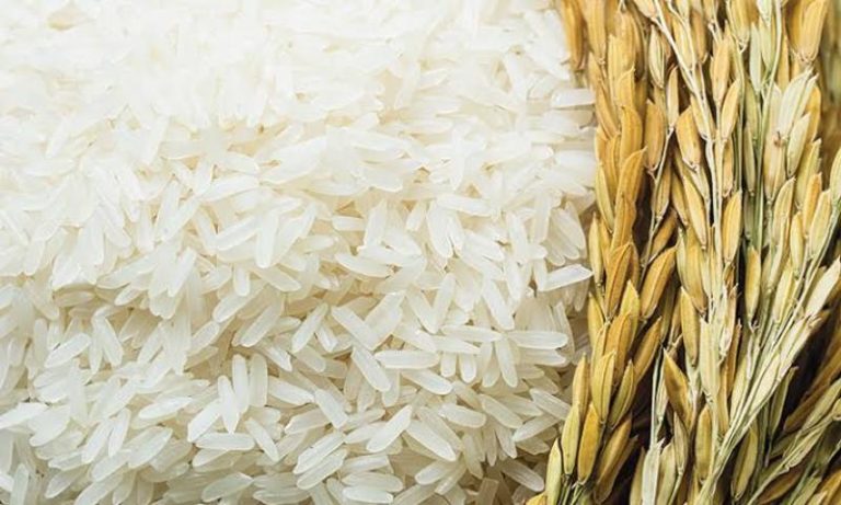 أسعار المحاصيل الزراعية في البورصات العالمية بالطن بالدولار الامريكى