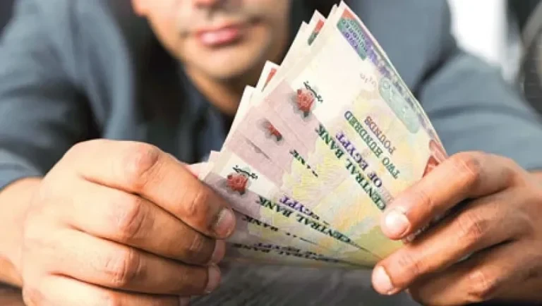أعلى شهادات ادخار في البنوك خلال إجازة عيد الأضحى.. كيفية الشراء