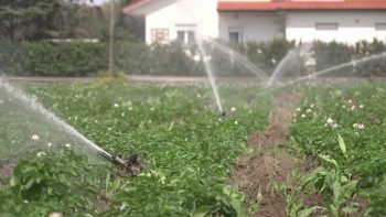 إيطاليا نموذجاً.. أوروبا تترقب موجة غلاء جديدة مع تعطل الملاحة في هرمز | اقتصاد