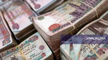 احصل على عائد 340 ألف جنيه من البنوك عند شراء أعلى شهادة ادخار في مصر بهذه الطريقة