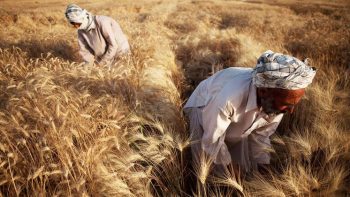 ارتفاع أسعار السلع الغذائية للشهر الثالث على التوالي