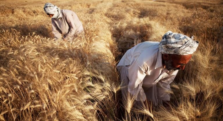 ارتفاع أسعار السلع الغذائية للشهر الثالث على التوالي
