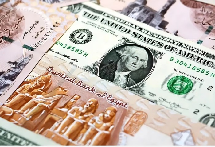ارتفاع سعر الدولار أمام الجنيه اليوم الإثنين 18 مايو 2026
