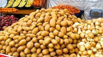 استقرار أسعار الخضر والفاكهة بأسواق الإسماعيلية اليوم الجمعة 15 مايو 2026