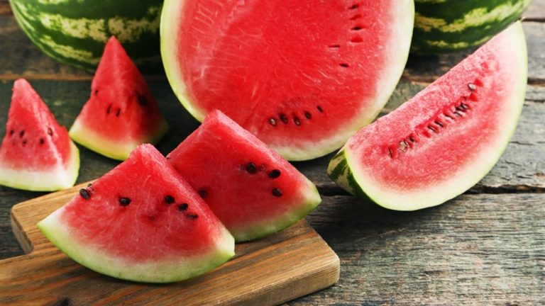 البطيخ يقاوم ثلاثية الأسعار والتكاليف والشائعات السنوية