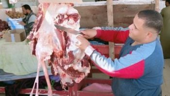 البلدى بـ340 جنيها.. اعرف أسعار اللحوم والدواجن والأسماك بالوادى الجديد