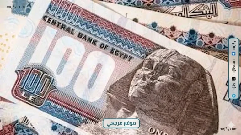 البنوك المصرية تطرح شهادات ادخار بعوائد تصل الى 22 بالمئة