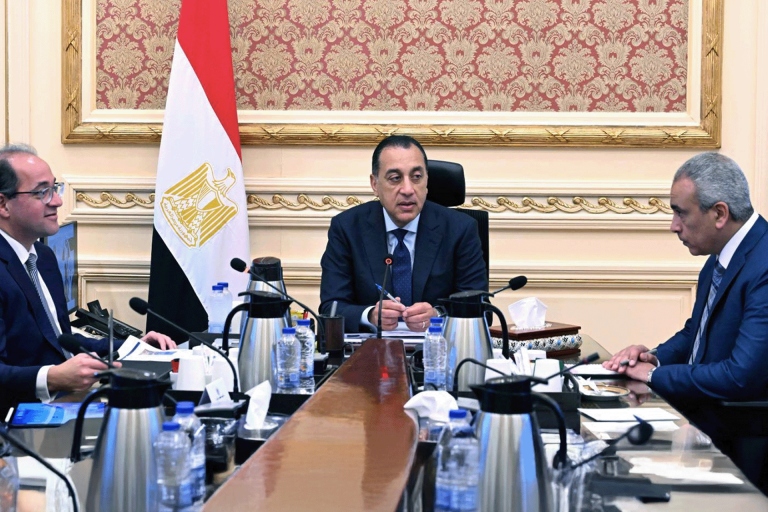 الحكومة المصرية تتحول إلى السيارات الكهربائية | اقتصاد