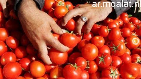 الطماطم بـ30 جنيها.. أسعار الخضراوات بأسواق الأقصر اليوم الإثنين 25 مايو 2026