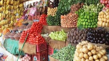 الطماطم تعاود الارتفاع في أسواق محافظة البحيرة اليوم السبت 16 مايو