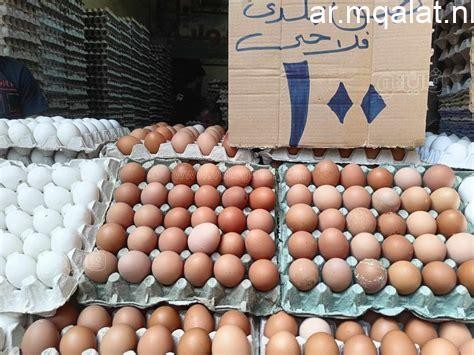 الكرتونة بـ80 جنيها.. أسعار البيض بكفر الشيخ الأحد 24 مايو 2026 – مقالات نيوز