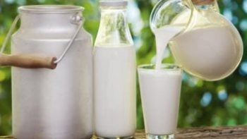 اللبن السائب بــ27 والبيض يصل إلى 110 جنيهات بأسواق سوهاج
