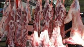 اللحمة بـ270 جنيها.. أسعار اللحوم بكفر الشيخ الجمعة 1 مايو 2026