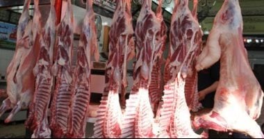 اللحمة بـ270 جنيها.. أسعار اللحوم بكفر الشيخ الجمعة 1 مايو 2026