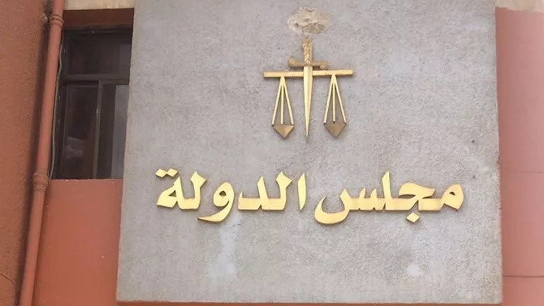 اليوم.. نظر دعوى وقف تطبيق السعر الموحد على العدادات الكودية للكهرباء