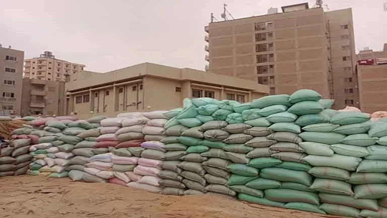 برلماني يطالب برفع سعر توريد القمح 20%