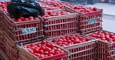 بعد وصولها لـ 70 جنيهًا.. متى تتراجع أسعار الطماطم فى الأسواق؟