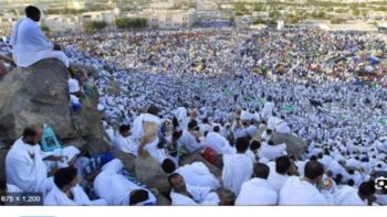 تردد قناة الحج السعودية 2026 لمتابعة صعود ضيوف الرحمن على عرفات