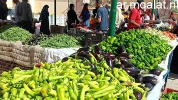 تستقر أسعار الخضر والفاكهة بأسواق الإسماعيلية في يوم الجمعة 15 مايو 2026