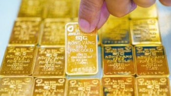 تم التحديث في الساعة 9:30 صباحًا، 25 مايو 2026: ارتفعت أسعار سبائك الذهب والخواتم في وقت واحد بمقدار 500,000 دونغ فيتنامي.