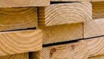 ثبات أسعار الخشب اليوم الأحد 17-5-2026 في السوق المصرية -جريدة المال