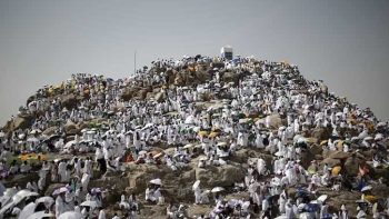 ثبتها بسهولة.. تردد القنوات الناقلة لعيد الأضحى المبارك ووقفة عرفات من داخل مكة المكرمة والمدينة المنورة