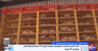 ثروت الزيني: انخفاض أسعار الدواجن والبيض نتيجة وفرة الإنتاج